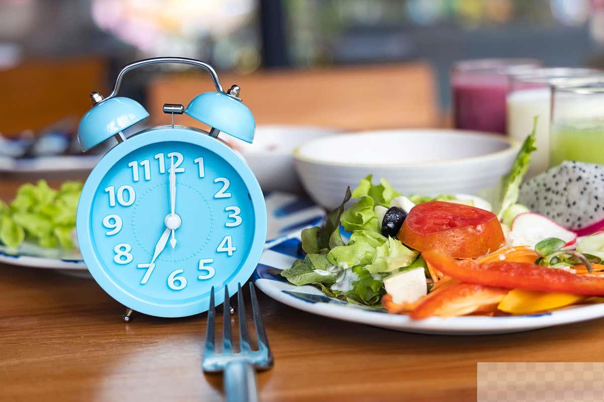 Intermittent fasting could make immune cells more effective in fighting pathogens and cancers